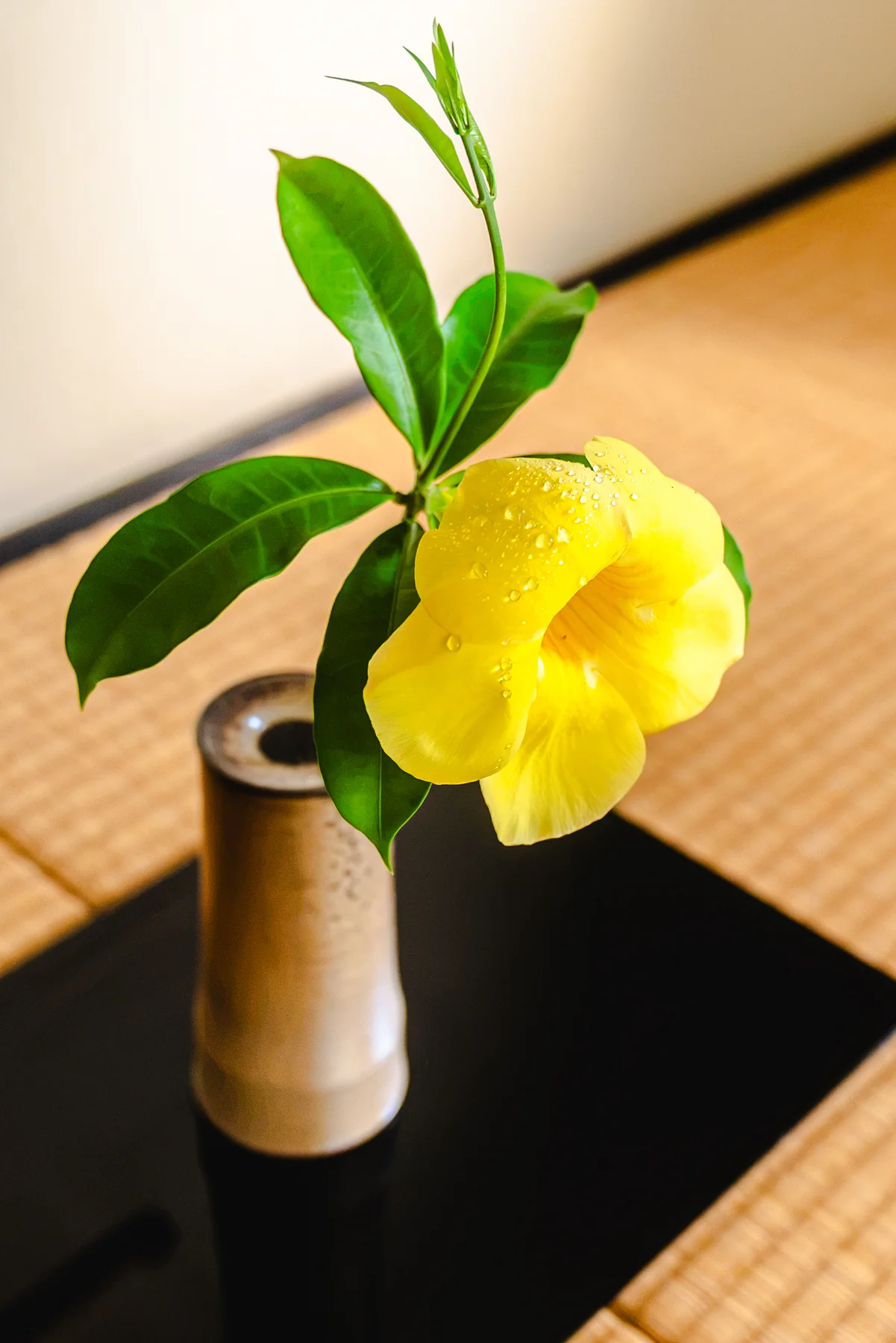 花器に生けられた花